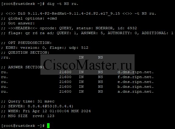 dns10_ciscomaster.ru.jpg