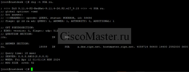 dns11_ciscomaster.ru.jpg